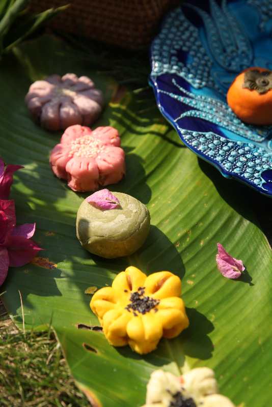 Biscuit Feuilleté-Saveur Patate Douce Violet / Haricot Rouge / Haricot Mungo / Potiron